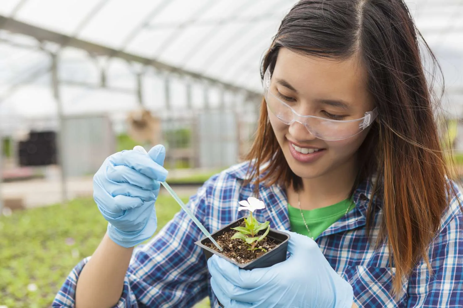 Career Paths in Environmental Science Khelo India Sports Goods Scheme Environmental Science