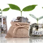 Gold Loans and Co-Lending