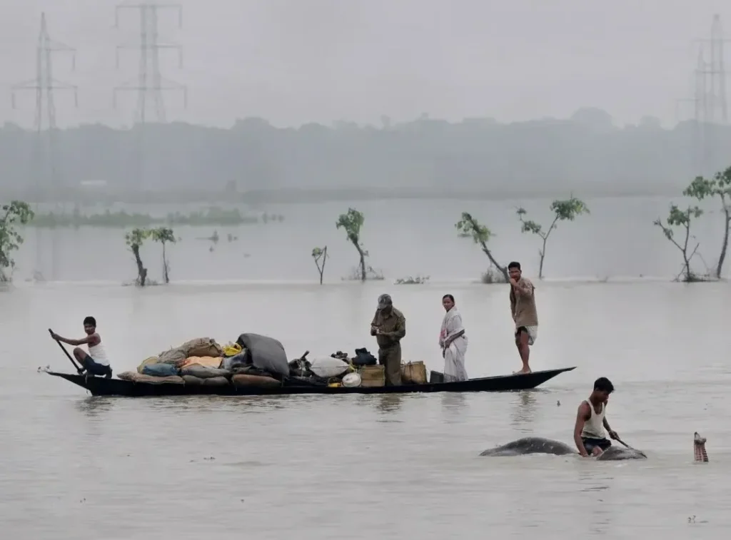 Lifeline of Assam's