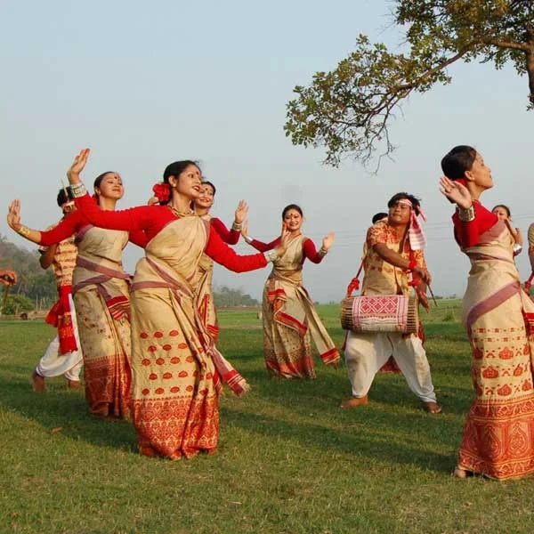 Assamese Dance Forms: Traditional and Contemporary 2 sikkim fair 1