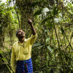 Blue carbon ecosystems