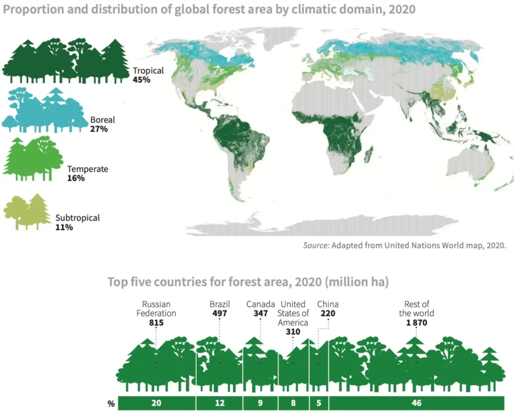 Global Forest Gains: India Ranks Third Global Forest Global Forest