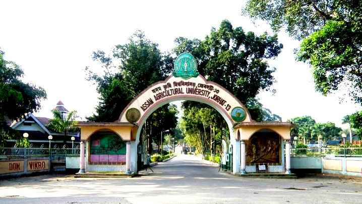 Jorhat