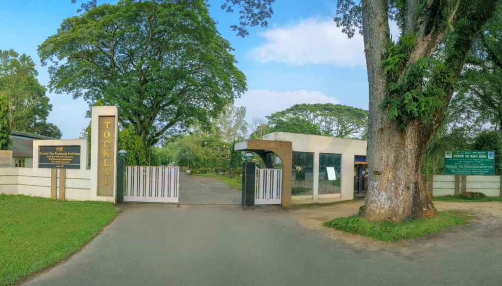 Jorhat