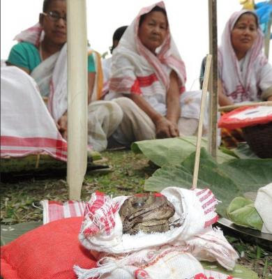 Bhekuli Biya: The Mythical Frog Weddings of Assam Bhekuli Biya Bhekuli Biya