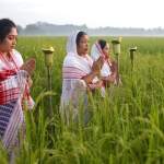 karam puja