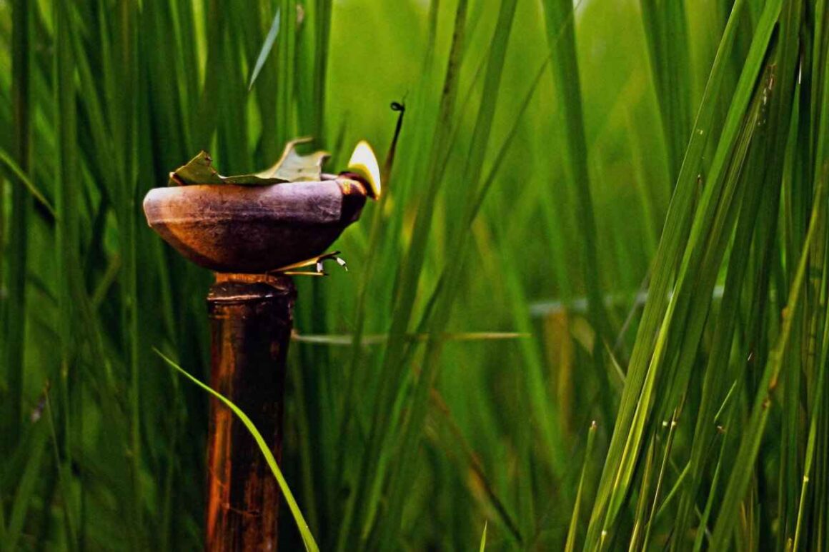 Kati Bihu: Unity in Simplicity - Ki Hikila | Knowledge in Assamese