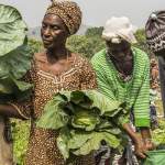 Agrifood