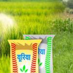Urea Production in India
