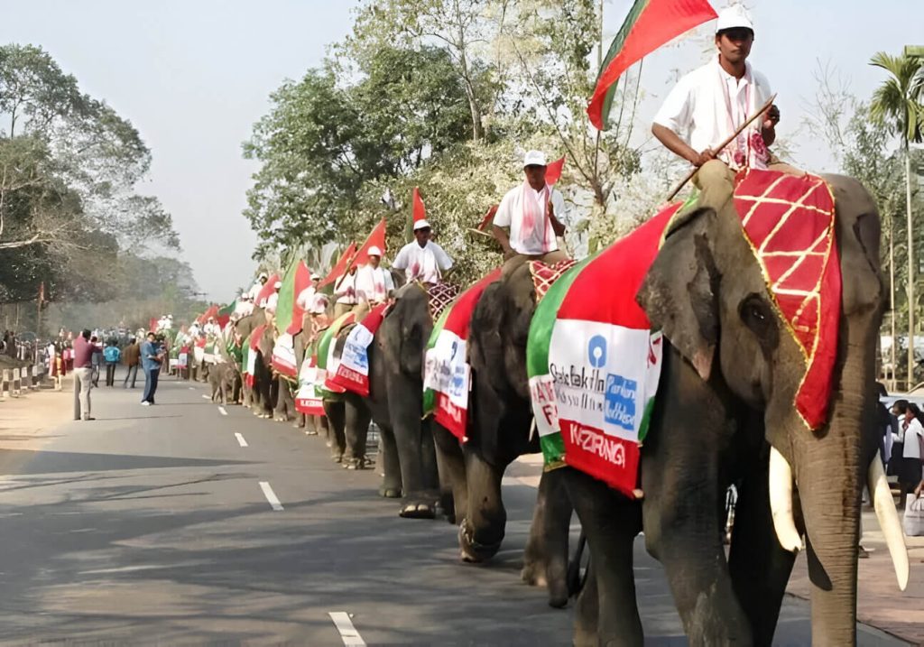 Elephant Festival