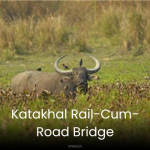 Bherjan-Borajan-Padumoni Wildlife Sanctuary