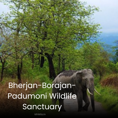 Bherjan-Borajan-Padumoni Wildlife Sanctuary