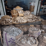 Jagiroad Dry Fish Market