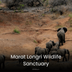 Marat Longri Wildlife Sanctuary