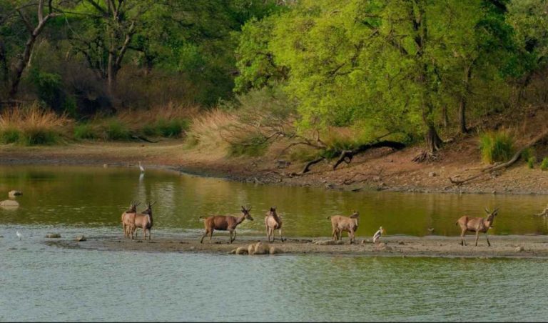 Kanger Valley National Park