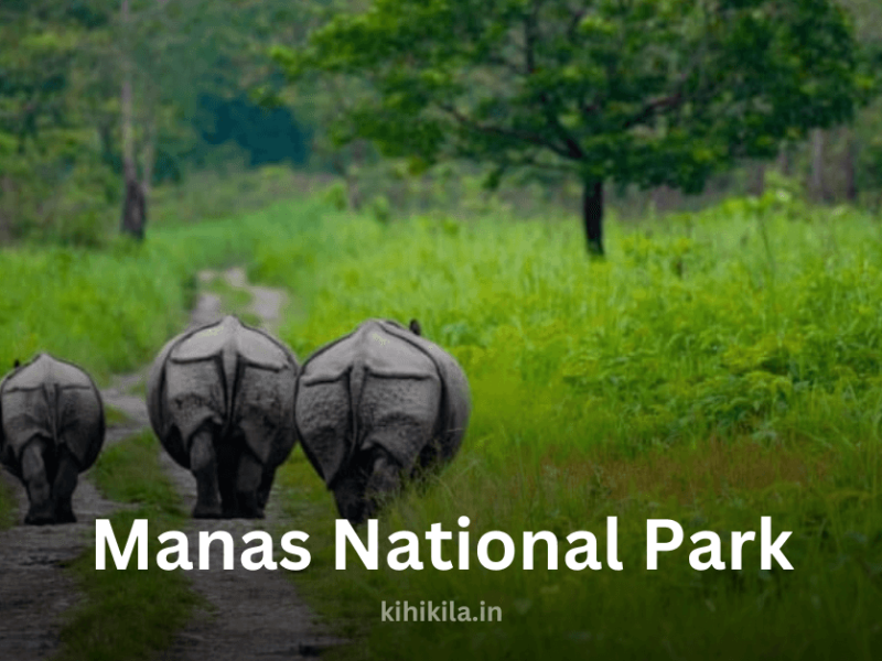 Manas National Park