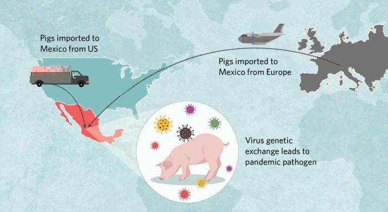 River Blindness