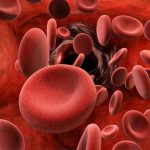 Zoonotic Diseases