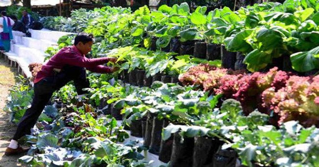Exploring Sikkim: A Jewel in the Himalayas 7 organic sikkim 647 021116114745 11zon
