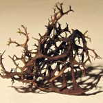 The Lichens