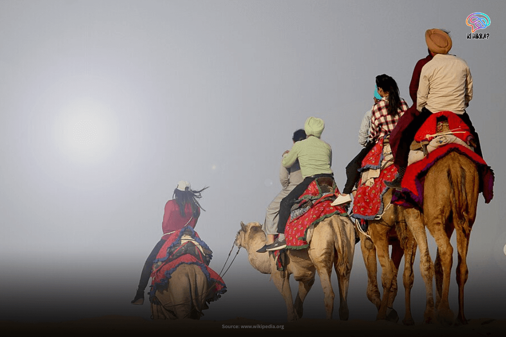 Rajasthan State Guide: Majestic Forts, Rich Heritage, and Key Facts for Students and Curious Minds Tourists riding camels across a vast, sandy expanse in the Thar Desert of Rajasthan, with a hazy bright sky.