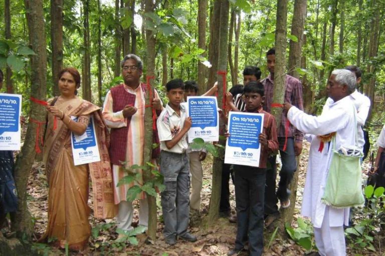 Fossil Discovery in assam