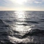 Ocean Darkening
