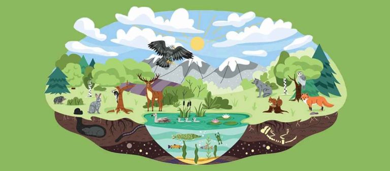Fossil Discovery in assam