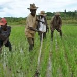 Senegal Sustainable Agricultural Growth