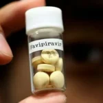 Favipiravir for Chandipura Virus