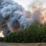 Brazil Linked to Climate Change