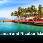 A tropical shoreline on the Andaman and Nicobar Islands, featuring clear turquoise water, a palm-tree-lined jetty, and red-roofed beachfront buildings under a blue sky.