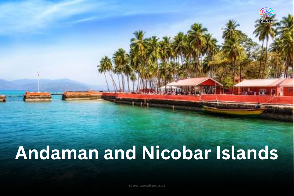 A tropical shoreline on the Andaman and Nicobar Islands, featuring clear turquoise water, a palm-tree-lined jetty, and red-roofed beachfront buildings under a blue sky.