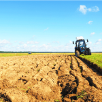 Climate Change Crop Yields