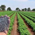 Global Fertiliser Supply