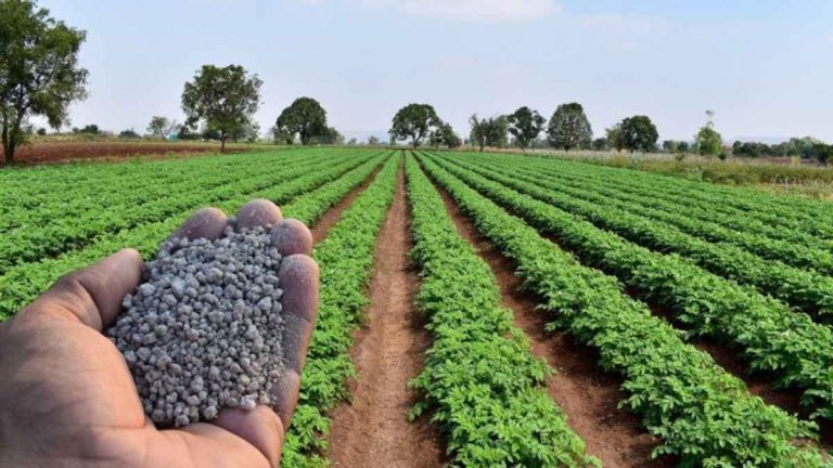 Global Fertiliser Supply
