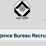 IB Security Assistant