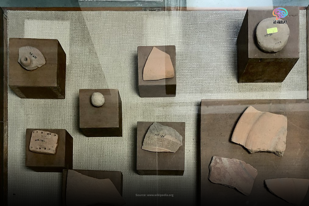A collection of Indus Valley civilization pottery artifacts, including various sized pots and shards, displayed in a museum setting.