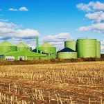 Revised Biomass Programme