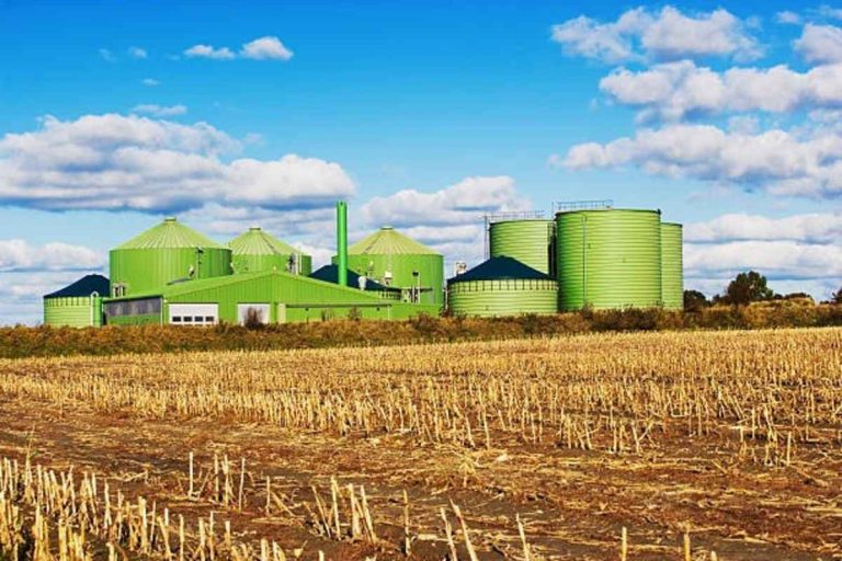 Global Fertiliser Supply