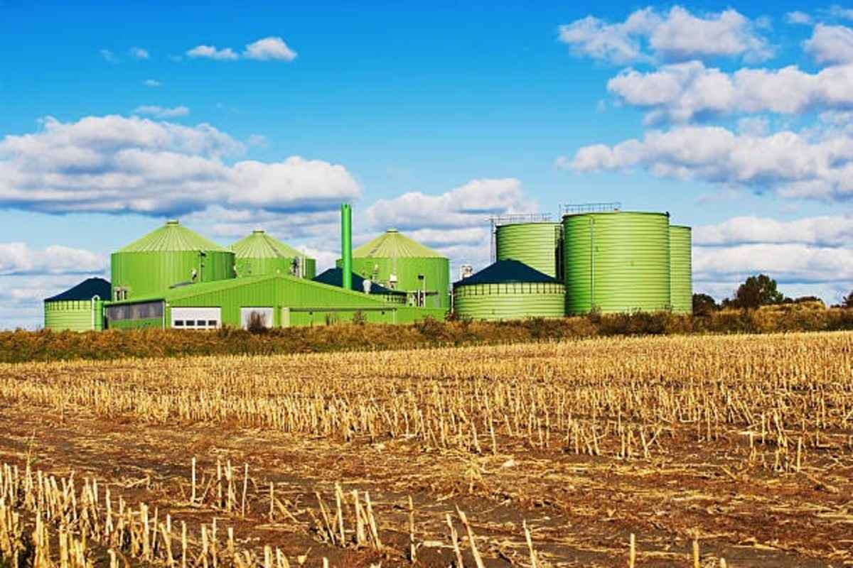 Revised Biomass Programme