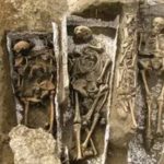 Ancient Egyptian Genome Study