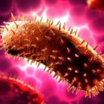How Rabies Kills