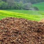 Updated Guidelines for Biomass Program