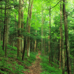 Eco-Sensitive Zone Guidelines