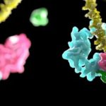 Molecular Imaging Technique