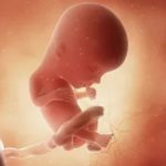 Birth Registration Rates in Bihar and India