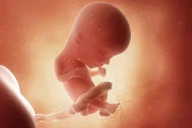 Birth Registration Rates in Bihar and India