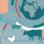 OECD FAO Outlook 2025