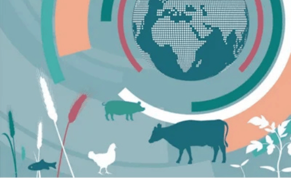 OECD FAO Outlook 2025